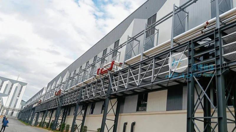 Sweet Potato Starch Pneumatic Conveying: An Efficient and Environmentally Friendly Material Handling Solution