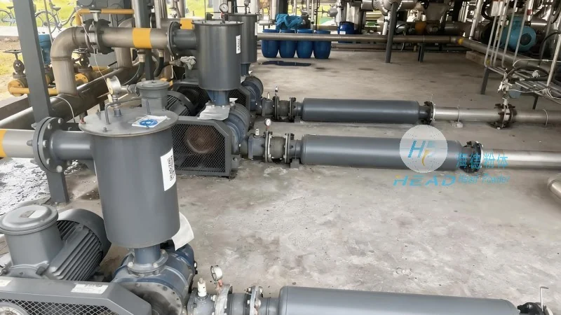 Dry Manure Pneumatic Conveying Design Calculation and Equipment Selection